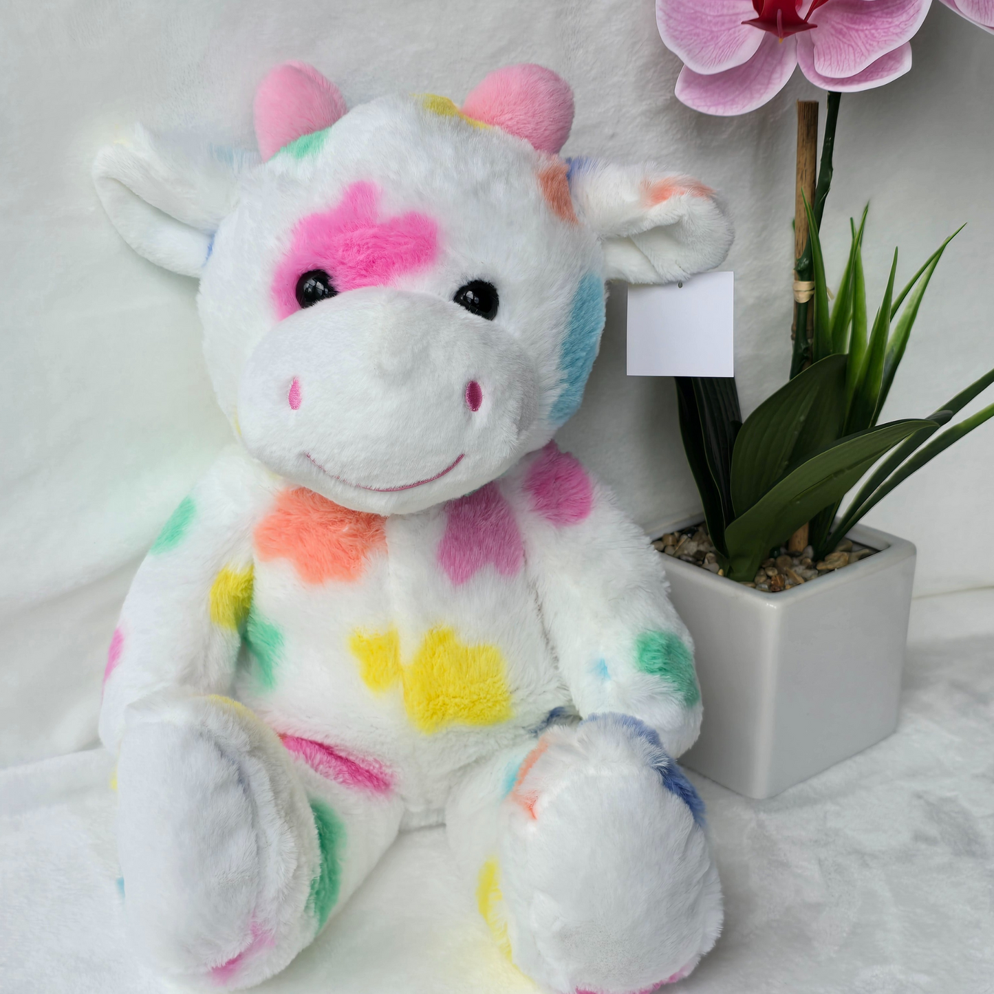 Peluche Bordado